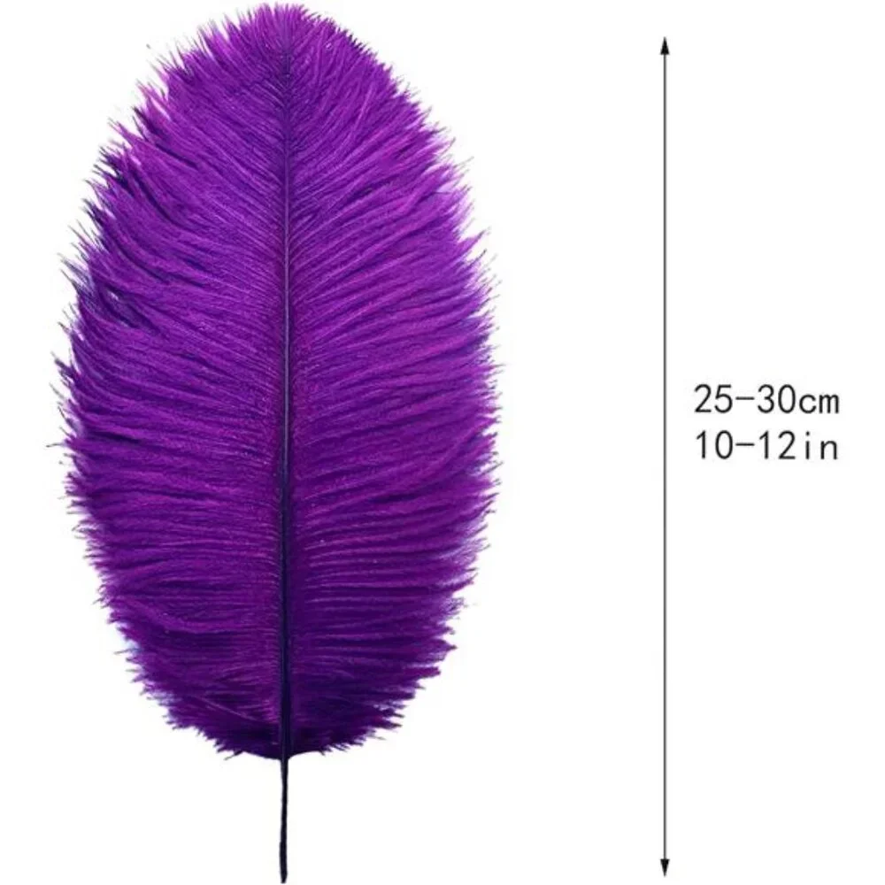 Purple Ostrich Feathers Bulk -24Pcs 10-12inch Feathers for Vase,Party Mardi Gras